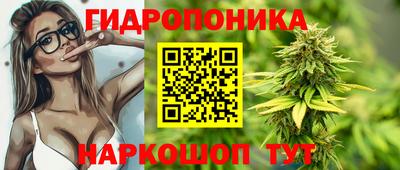 дмт Малгобек