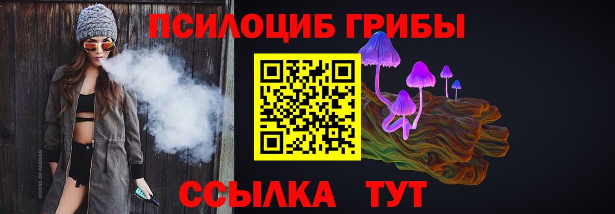 Псилоцибиновые грибы GOLDEN TEACHER  где найти наркотики  Шадринск  Вход с VPN 